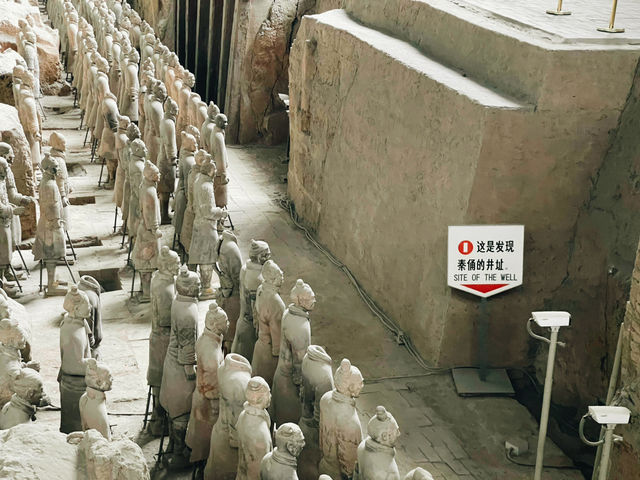 Terra-Cotta Warriors 西安兵馬俑🗿