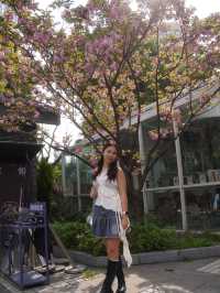 Discover Chengdu’s Leisurely Charm at People’s Park (人民公园)