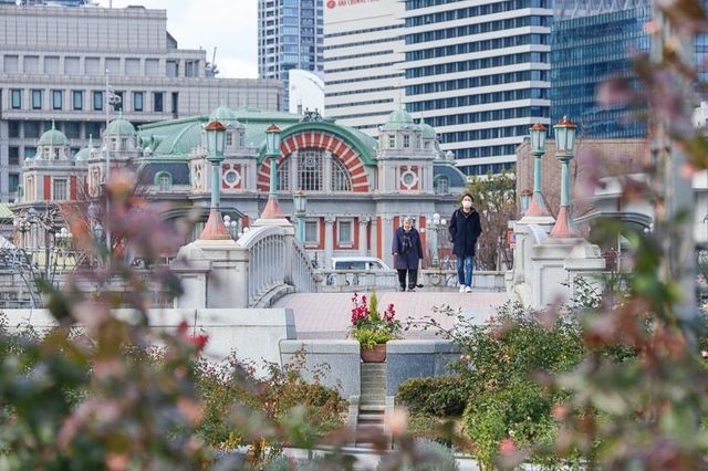 🌸 Osaka City Central Public Hall: Where Sakura Meets Old-World Glam! 🏛️✨