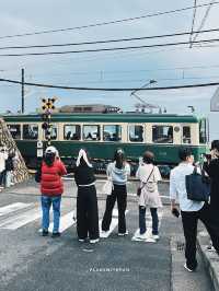 Kamakura (鎌倉) 🚃🌊 (คามาคุระ)