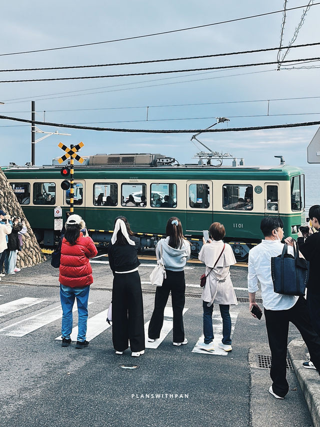 Kamakura (鎌倉) 🚃🌊 (คามาคุระ)