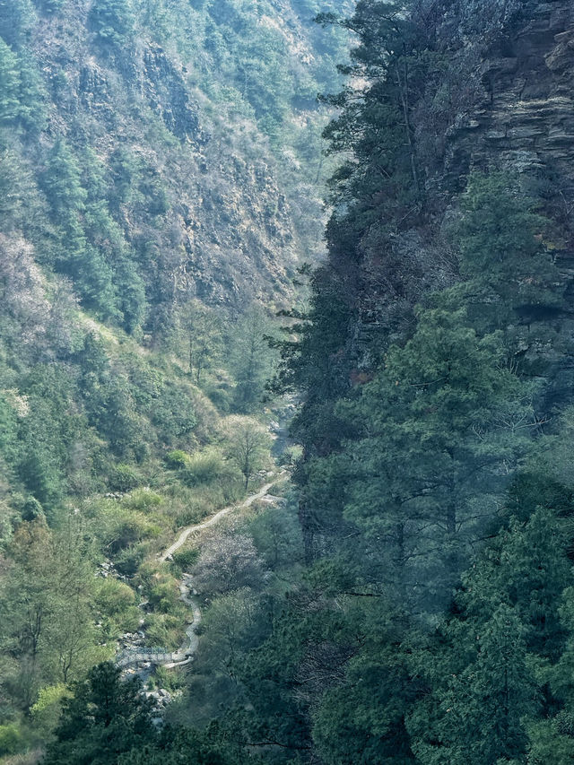 Floating into Spring: Riding the Cangshan Gantong Cable Car in Dali