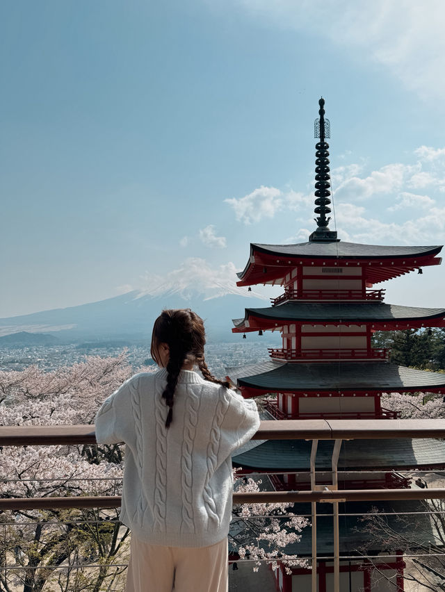 東京新倉山淺間公園⛩️櫻花盛開🌸太夢幻了🗻 東京新倉山淺間公園⛩️櫻花盛開🌸太夢幻了🗻