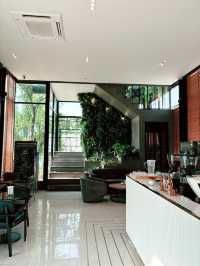 The Coffee Lounge & Forest 