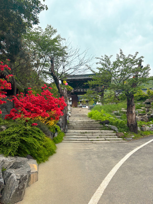 🪷부처님 오신날에 여긴 꼭 가야죠!🪷