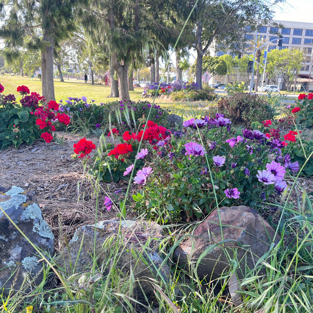 Something different to do in SFO Long Layover with Spectacular Aviation view & Bayfront Walk.
