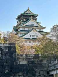🏯 Royal Vibes Only! A Day at Osaka Castle 🌸