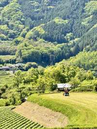 美麗的高千穗農業遺產