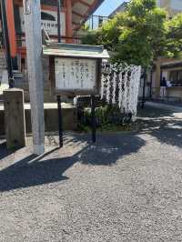 【東京都神楽坂🇯🇵 善國寺】16世紀に創建！七福神が祀られている小さな寺院