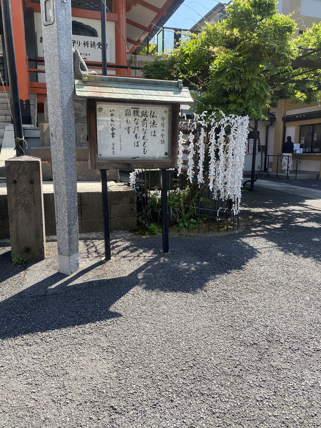 【東京都神楽坂🇯🇵 善國寺】16世紀に創建！七福神が祀られている小さな寺院