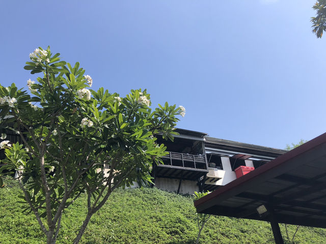 断崖絶壁の美しさ🥰と珈琲☕️の美味しさ💞
