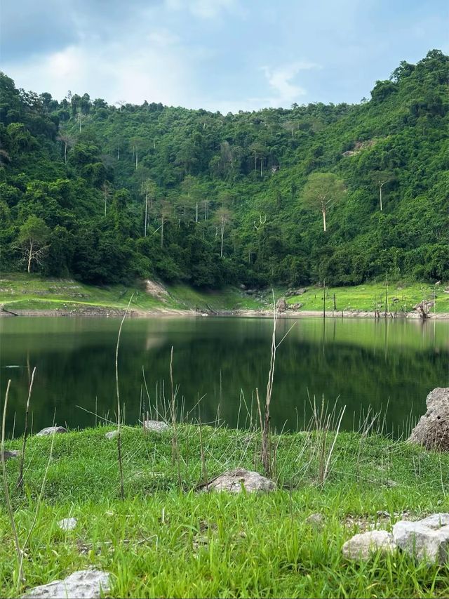 โลกสีเขียว 🍃🍀💚🌱