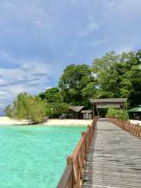 When the Ocean Stole My Heart: First Dive at Sipadan
