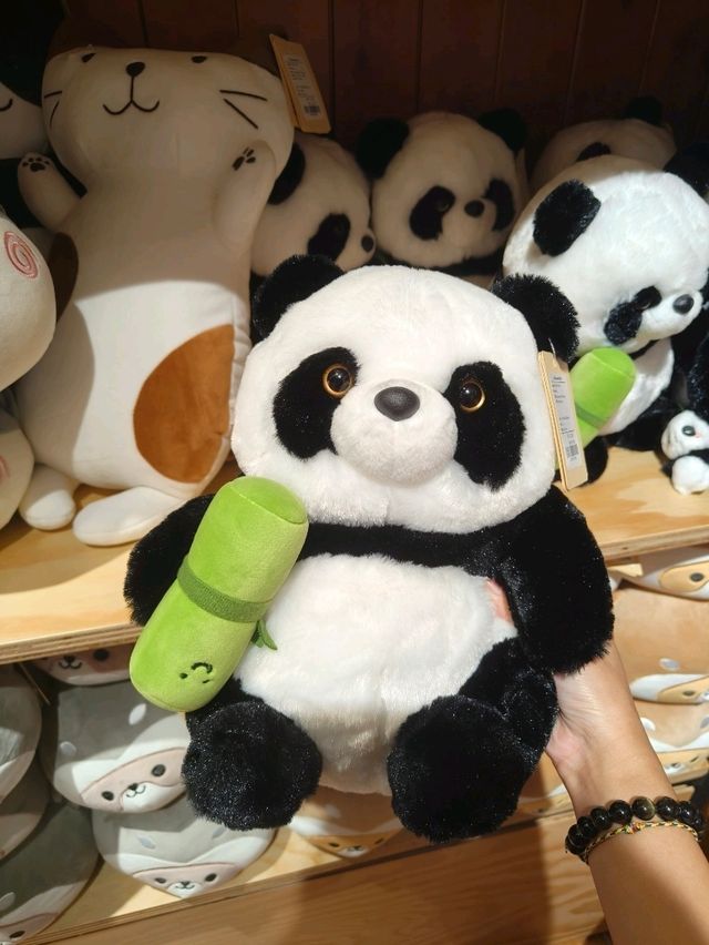 Everything Cute in One Store – Green Party Vibes