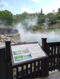 Steamy Sights and Science in Beitou