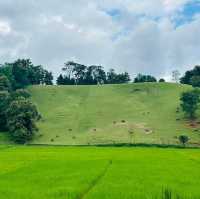 สวนน้ำโอบ แคมป์ปิ้งและคาเฟ่ ใกล้ชิดธรรมชาติ