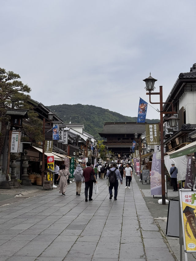 Tokyo + Culture 