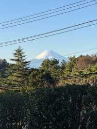 東京｜交通攻略｜大室山經典旅遊路線