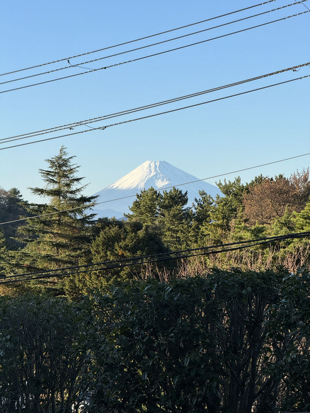 東京｜交通攻略｜大室山經典旅遊路線