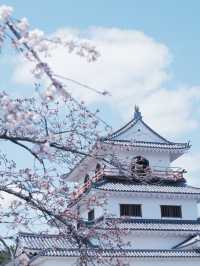 從大阪到仙台賞櫻最快交通：日本國內線飛機攻略