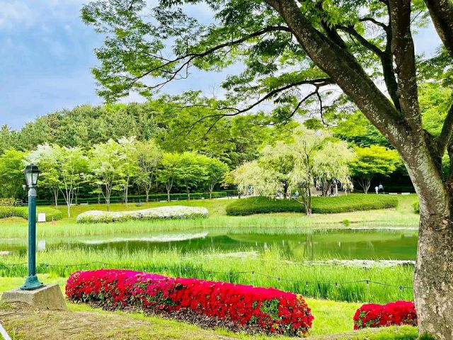 Ulsan Grand Park: South Korea’s Largest Urban Oasis