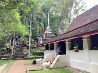 เที่ยวธรรมชาตินั่งสมาธิสงบ “วัดผาลาด” 