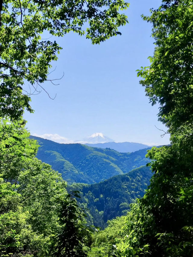A Hike Through History – Exploring Hachioji Castle Ruins & Fujimidai Views