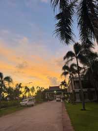 @roxas