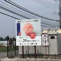 無料で楽しめるバラ園やアスレチック！