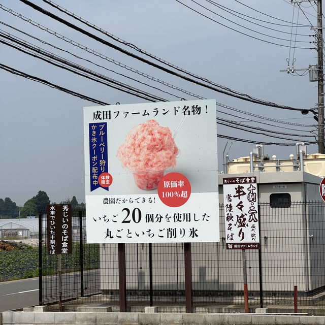無料で楽しめるバラ園やアスレチック！
