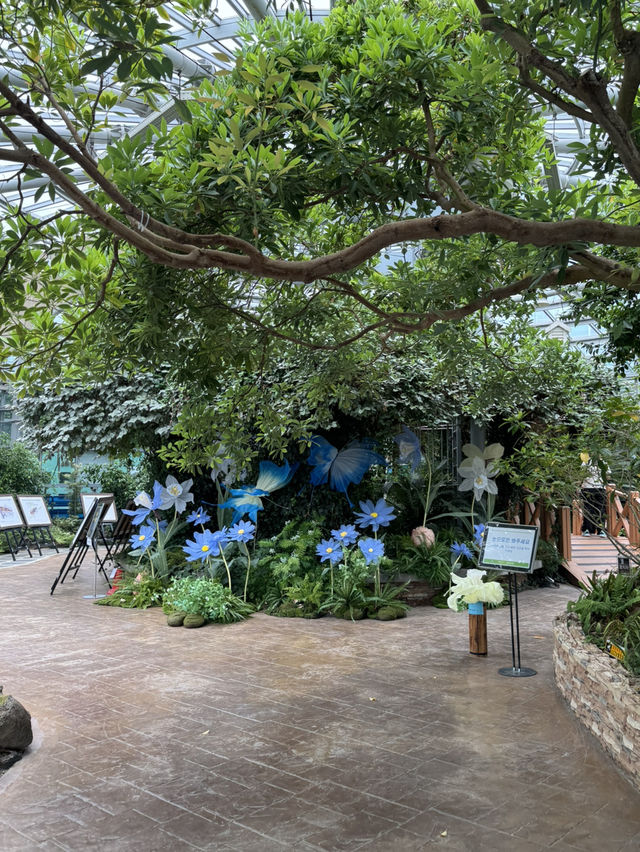 숲속 감성 가득한 생물탐구관 탐방기🌴