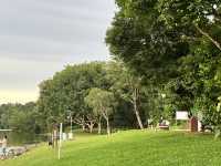 Lower Peirce Reservoir – Brisk Walks & Monkey Business