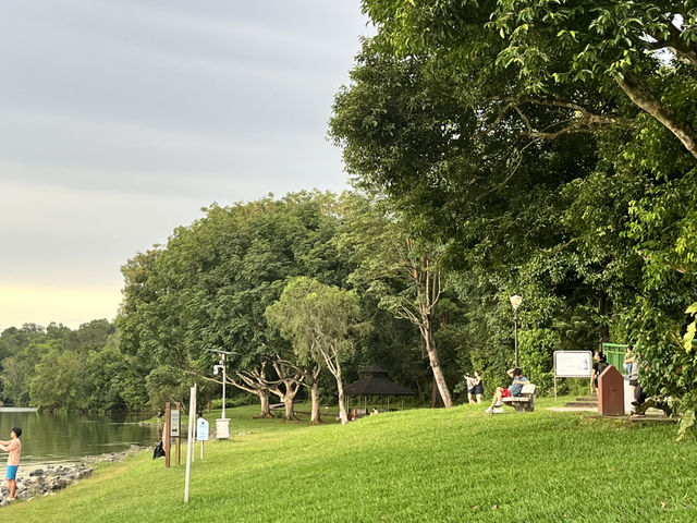 Lower Peirce Reservoir – Brisk Walks & Monkey Business