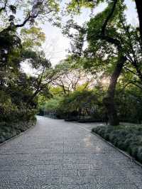 บ่ายวันสบายที่ Hangzhou Botanical Garden