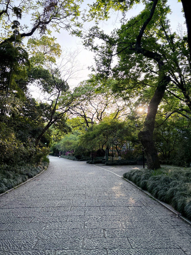 บ่ายวันสบายที่ Hangzhou Botanical Garden