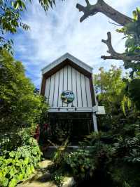 ตากฟ้าคาเฟ่ - บ้านสวนณัฐธีร์
