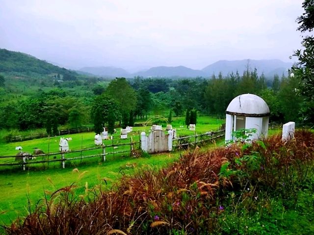 morning glory the bakery house จิบชาชิววิวล้านแปด