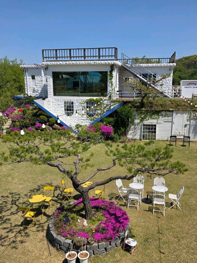 아매네 강화도이색카페 강화도카페추천