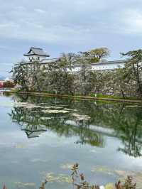 A Slow Day in Imabari – Castles, Shrines & Seaside Calm