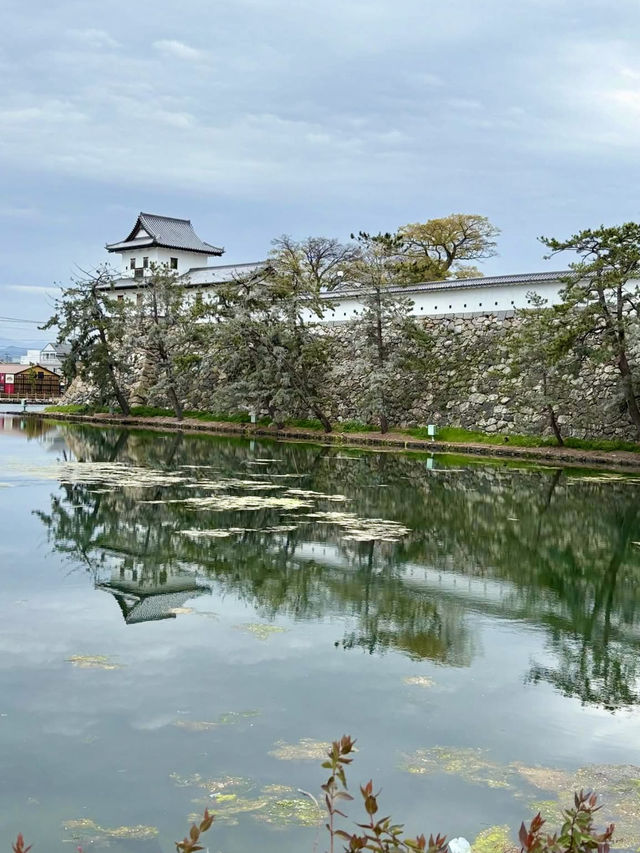 A Slow Day in Imabari – Castles, Shrines & Seaside Calm