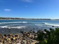 Manly to Shelly Beach – A Coastal Walk Worth Slowing Down For