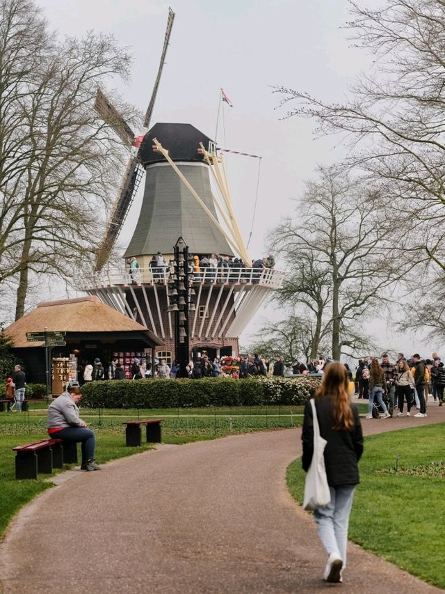 Keukenhof Gardens – The Netherlands in Full Bloom