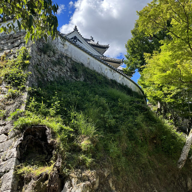 日本三大山城　【備中松山城】🏯　岡山