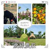 歲綠農莊 — 端午小遊樂園