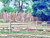 ［新竹旅遊］新竹市立動物園-親子共遊好去處🐒
