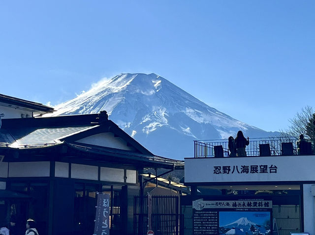Morning at Oshino Hakkai: Where Fuji’s Waters Whisper