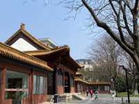 南京 明故宮遺址公園 ✴️  
