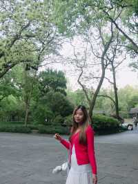 เดินเล่นใน Hangzhou Botanical Garden