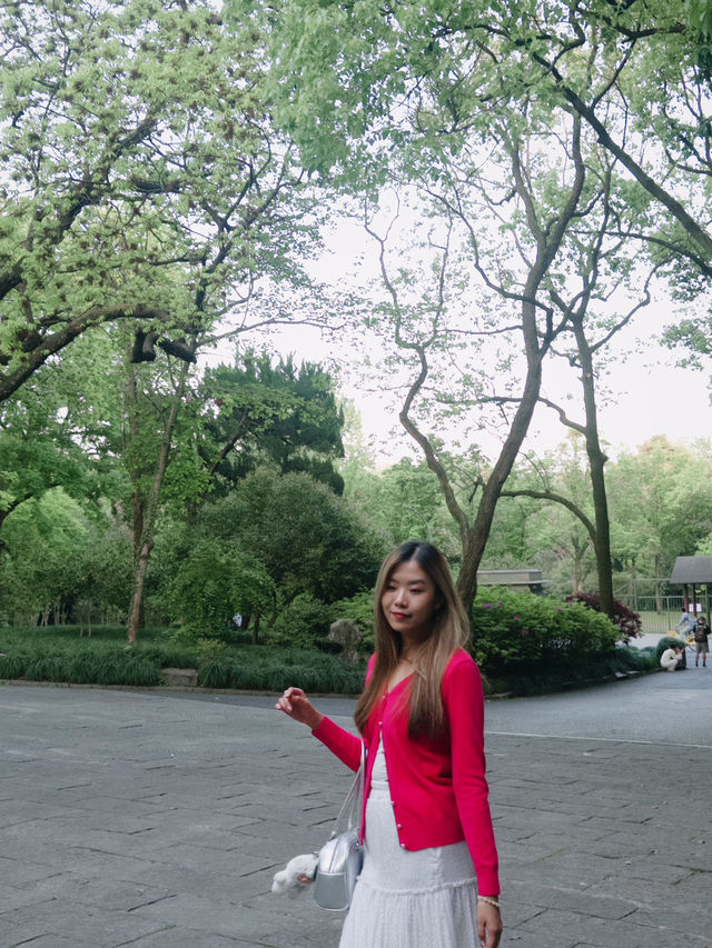 เดินเล่นใน Hangzhou Botanical Garden