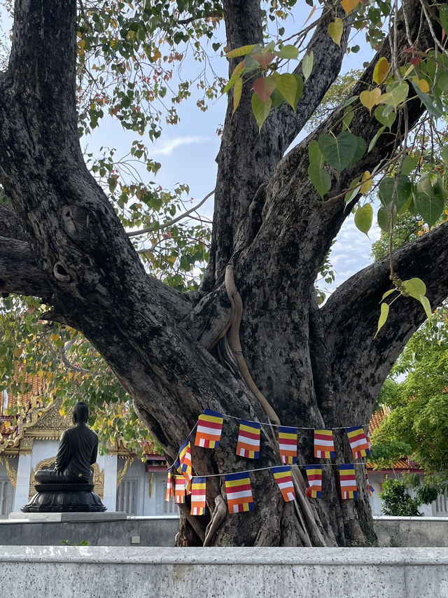 🏛️ 하얀 대리석의 우아함, 왓 벤차마보핏에서 느끼는 평온 🕊️